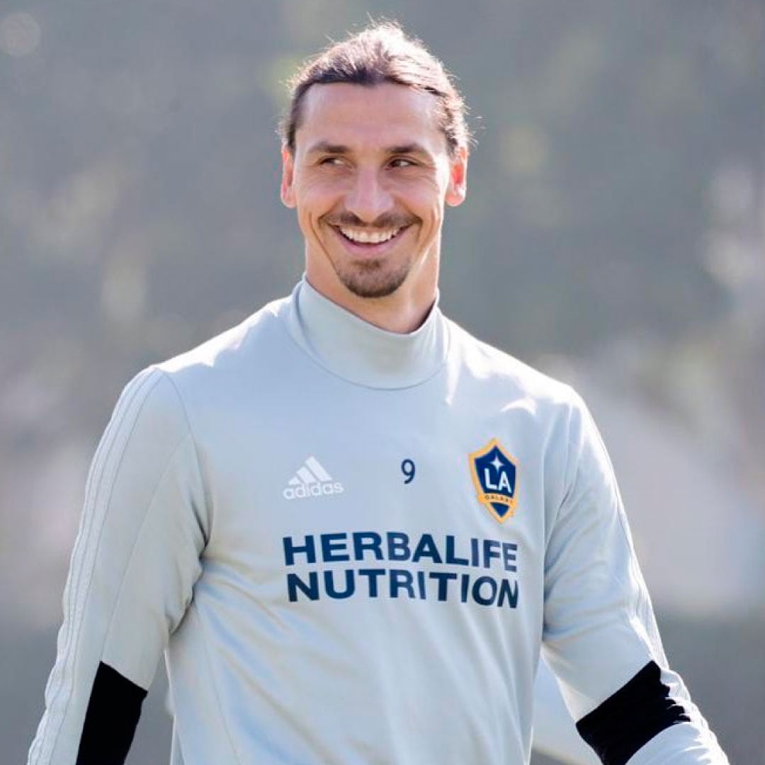 ibrahimovic