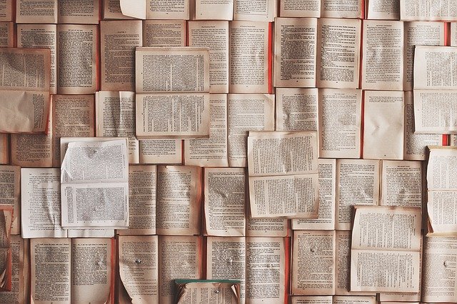 Feria del Libro